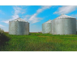 Property photo 12 - LAND AUCTION - 478+/- ACRES OFFERED IN 5 TRACTS IN SOUTHERN LAKE CO., IN