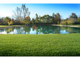 Property photo 32 - REAL ESTATE AUCTION - 30+/- ACRES IN 4 TRACTS IN EAST ALLEN COUNTY, INDIANA