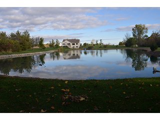 Property photo 22 - REAL ESTATE AUCTION - 30+/- ACRES IN 4 TRACTS IN EAST ALLEN COUNTY, INDIANA