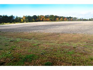 Property photo 5 - REAL ESTATE AUCTION - 30+/- ACRES IN 4 TRACTS IN EAST ALLEN COUNTY, INDIANA