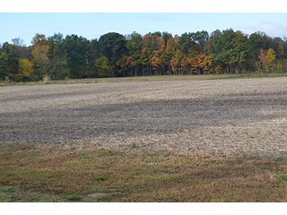 Property photo 3 - REAL ESTATE AUCTION - 30+/- ACRES IN 4 TRACTS IN EAST ALLEN COUNTY, INDIANA