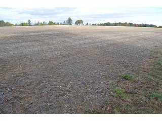 Property photo 4 - REAL ESTATE AUCTION - 30+/- ACRES IN 4 TRACTS IN EAST ALLEN COUNTY, INDIANA