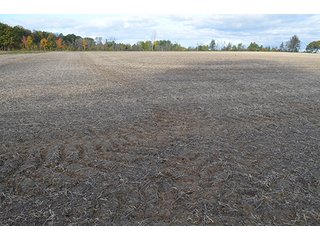 Property photo 1 - REAL ESTATE AUCTION - 30+/- ACRES IN 4 TRACTS IN EAST ALLEN COUNTY, INDIANA