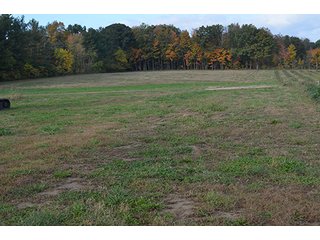 Property photo 2 - REAL ESTATE AUCTION - 30+/- ACRES IN 4 TRACTS IN EAST ALLEN COUNTY, INDIANA