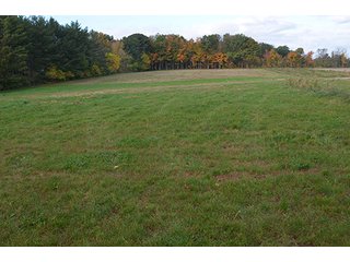 Property photo 6 - REAL ESTATE AUCTION - 30+/- ACRES IN 4 TRACTS IN EAST ALLEN COUNTY, INDIANA