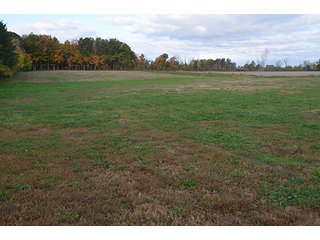 Property photo 8 - REAL ESTATE AUCTION - 30+/- ACRES IN 4 TRACTS IN EAST ALLEN COUNTY, INDIANA