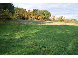 Property photo 39 - REAL ESTATE AUCTION - 30+/- ACRES IN 4 TRACTS IN EAST ALLEN COUNTY, INDIANA