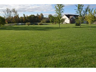 Property photo 26 - REAL ESTATE AUCTION - 30+/- ACRES IN 4 TRACTS IN EAST ALLEN COUNTY, INDIANA