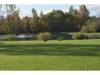 Property photo 34 - REAL ESTATE AUCTION - 30+/- ACRES IN 4 TRACTS IN EAST ALLEN COUNTY, INDIANA