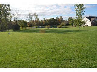 Property photo 37 - REAL ESTATE AUCTION - 30+/- ACRES IN 4 TRACTS IN EAST ALLEN COUNTY, INDIANA