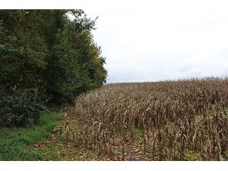 Property photo 1 - REAL ESTATE AUCTION - 125+/- ACRES OFFERED IN 2 TRACTS IN KOSCIUSKO COUNTY, INDIANA