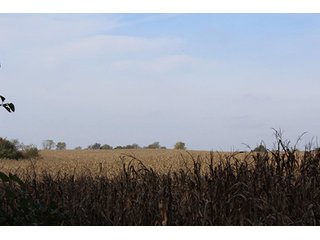 Property photo 2 - REAL ESTATE AUCTION - 125+/- ACRES OFFERED IN 2 TRACTS IN KOSCIUSKO COUNTY, INDIANA