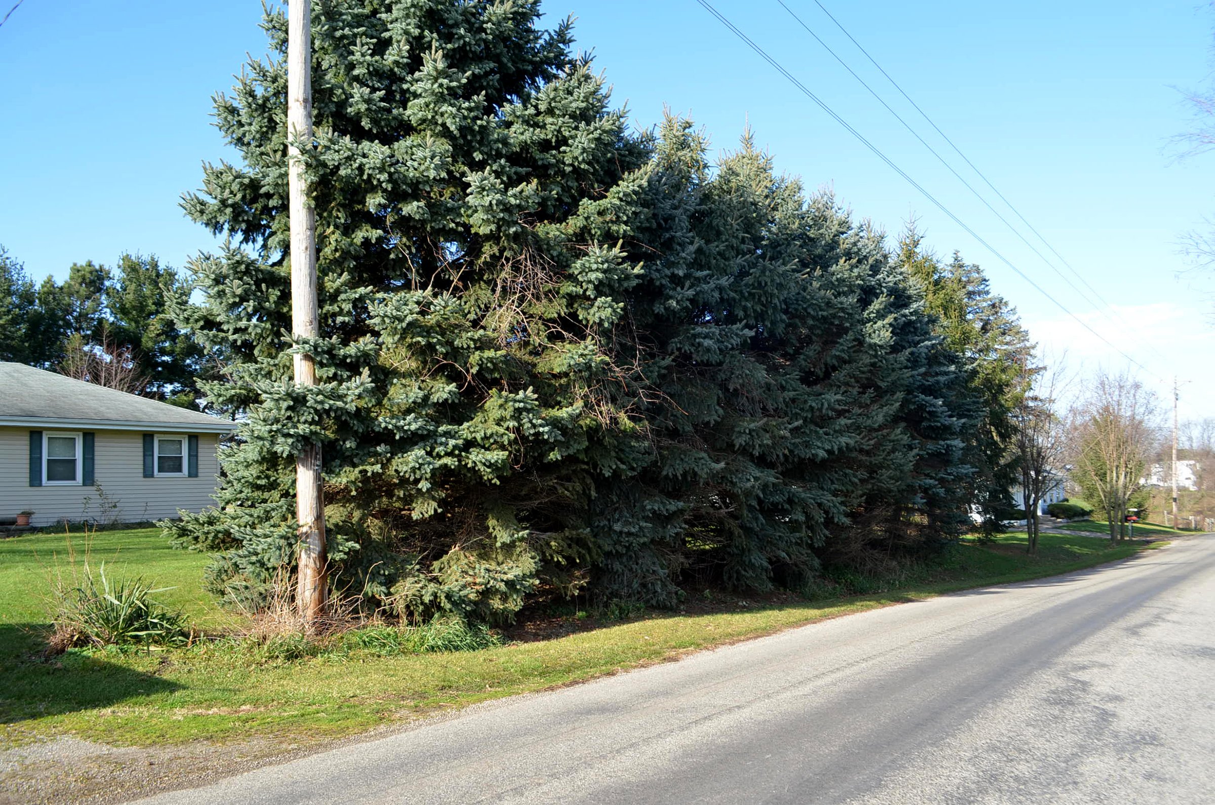 Property photo 10 - REAL ESTATE AUCTION IN DEKALB COUNTY, INDIANA