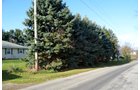 Property photo 10 - REAL ESTATE AUCTION IN DEKALB COUNTY, INDIANA