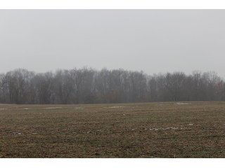 <b>58+/- Acres.</b> Grain/Recreation/Lake Property.

Approximately 32+/- acres tillable, 17+/- acres wildlife and recreation, approximately 1150' of lake front with 9+/- acres under the lake's surface.

Tippecanoe Valley School - Tillable Land, Woods, LakeFront, Hunting, and Fishing.