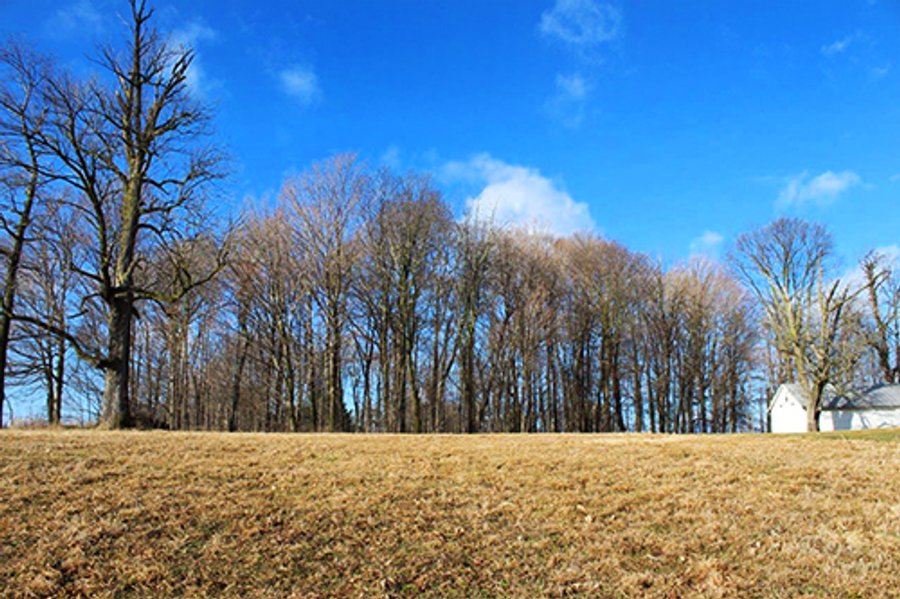 For sale: Building Site/Land with Woods - Warsaw, IN