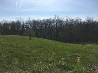 14.8+/- Acres bare land in Columbia City, Indiana.  3+/- Acre pond.

Parcel ID:  92-06-12-000-102.000-004 - Bare Land