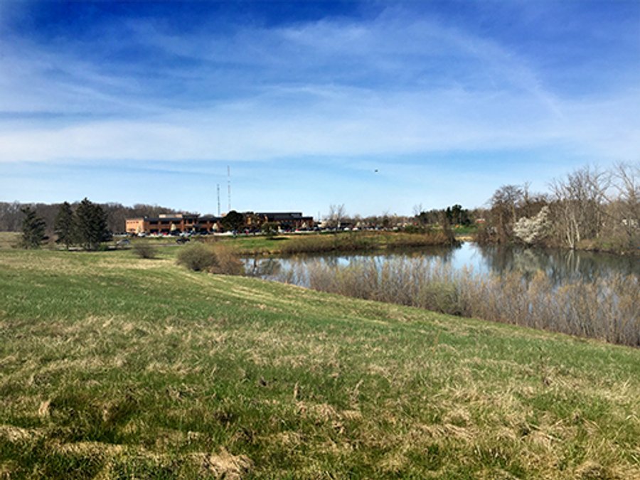 For sale: Bare Land