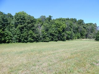 <b>21.75+/- Acre mini farm</b> in Thorncreek Township, Whitley County.  Just 2 miles west of Northern Heights Elementary School.  12+/- acres of tillable farmland with the remainder in woods and pond.  

Imagine the possibilities to build your dream home or get income off the tillable while you hunt and play in your own woods! - 21.75+/- Acre Mini Farm