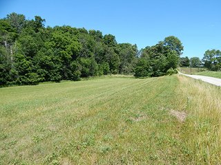 <b>21.75+/- Acre mini farm</b> in Thorncreek Township, Whitley County.  Just 2 miles west of Northern Heights Elementary School.  12+/- acres of tillable farmland with the remainder in woods and pond.  

Imagine the possibilities to build your dream home or get income off the tillable while you hunt and play in your own woods! - 21.75+/- Acre Mini Farm