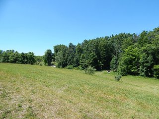 <b>21.75+/- Acre mini farm</b> in Thorncreek Township, Whitley County.  Just 2 miles west of Northern Heights Elementary School.  12+/- acres of tillable farmland with the remainder in woods and pond.  

Imagine the possibilities to build your dream home or get income off the tillable while you hunt and play in your own woods! - 21.75+/- Acre Mini Farm