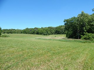 <b>21.75+/- Acre mini farm</b> in Thorncreek Township, Whitley County.  Just 2 miles west of Northern Heights Elementary School.  12+/- acres of tillable farmland with the remainder in woods and pond.  

Imagine the possibilities to build your dream home or get income off the tillable while you hunt and play in your own woods! - 21.75+/- Acre Mini Farm