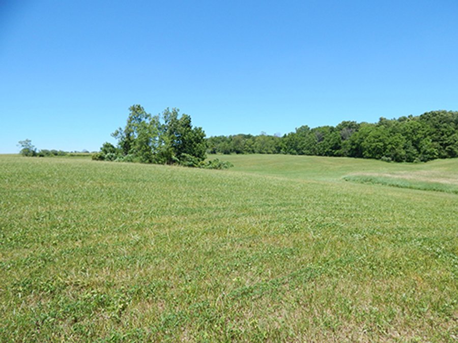 For sale: 21.75+/- Acre Mini Farm - Columbia City, IN
