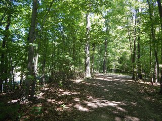 <b>21.75+/- Acre mini farm</b> in Thorncreek Township, Whitley County.  Just 2 miles west of Northern Heights Elementary School.  12+/- acres of tillable farmland with the remainder in woods and pond.  

Imagine the possibilities to build your dream home or get income off the tillable while you hunt and play in your own woods! - 21.75+/- Acre Mini Farm