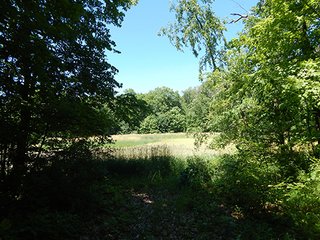 <b>21.75+/- Acre mini farm</b> in Thorncreek Township, Whitley County.  Just 2 miles west of Northern Heights Elementary School.  12+/- acres of tillable farmland with the remainder in woods and pond.  

Imagine the possibilities to build your dream home or get income off the tillable while you hunt and play in your own woods! - 21.75+/- Acre Mini Farm