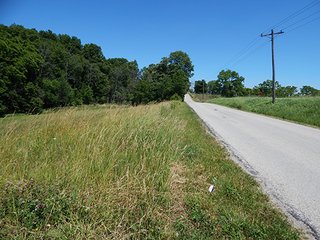 <b>21.75+/- Acre mini farm</b> in Thorncreek Township, Whitley County.  Just 2 miles west of Northern Heights Elementary School.  12+/- acres of tillable farmland with the remainder in woods and pond.  

Imagine the possibilities to build your dream home or get income off the tillable while you hunt and play in your own woods! - 21.75+/- Acre Mini Farm