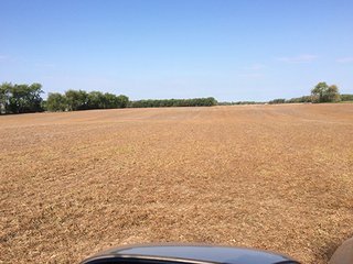 <b>Grain - Specialty Crops (Tomatoes)</b>
Total Acres:  60+/- per Assessor
Tillable Acres:  62.25+/- per FSA<br>
<b>View looking west over the Subject with 7 tower Irrigation System & Well belonging to neighbor.</b><br>
<b>Tenant:</b>  Tuholski Farms, Inc.
<b>Current Lease Terms:</b>  Year to Year
<b>Possession:</b>  After 2016 crops are harvested.
<b>Oil/Mineral Rights:</b>  100%<br>
<b>High School:</b>  New Prairie
<b>Elec. Source:</b>  AEP

 - Specialty Cropland
