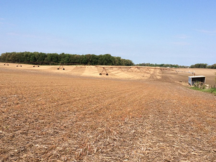 For sale: Specialty Cropland - Northeast of LaPorte, IN