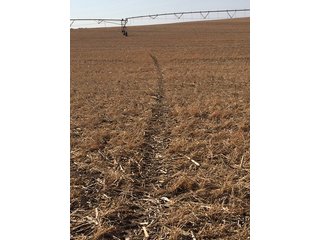 <b>Grain - Specialty Crops (Tomatoes)</b>
Total Acres:  60+/- per Assessor
Tillable Acres:  62.25+/- per FSA<br>
<b>View looking west over the Subject with 7 tower Irrigation System & Well belonging to neighbor.</b><br>
<b>Tenant:</b>  Tuholski Farms, Inc.
<b>Current Lease Terms:</b>  Year to Year
<b>Possession:</b>  After 2016 crops are harvested.
<b>Oil/Mineral Rights:</b>  100%<br>
<b>High School:</b>  New Prairie
<b>Elec. Source:</b>  AEP

 - Specialty Cropland