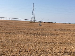 <b>Grain - Specialty Crops (Tomatoes)</b>
Total Acres:  60+/- per Assessor
Tillable Acres:  62.25+/- per FSA<br>
<b>View looking west over the Subject with 7 tower Irrigation System & Well belonging to neighbor.</b><br>
<b>Tenant:</b>  Tuholski Farms, Inc.
<b>Current Lease Terms:</b>  Year to Year
<b>Possession:</b>  After 2016 crops are harvested.
<b>Oil/Mineral Rights:</b>  100%<br>
<b>High School:</b>  New Prairie
<b>Elec. Source:</b>  AEP

 - Specialty Cropland