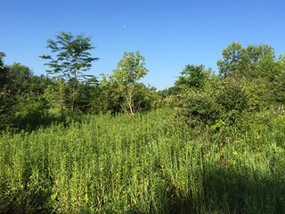 87.34 Acres adjacent to 7,280 acre Kingsbury Fish & Wildlife Area.  Abundant deer, wild turkey, quail, Prairie grasses.  Shelter belt and pond constructed by owners.

Fence along Grand Trunk Railroad boundary.

<b>High School:</b>  LaPorte High School
<b>Elec. Source:</b>  NIPSCO - Hunter & Trapper's Paradise