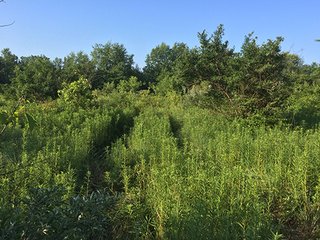 Property photo 7 - Hunter & Trapper's Paradise