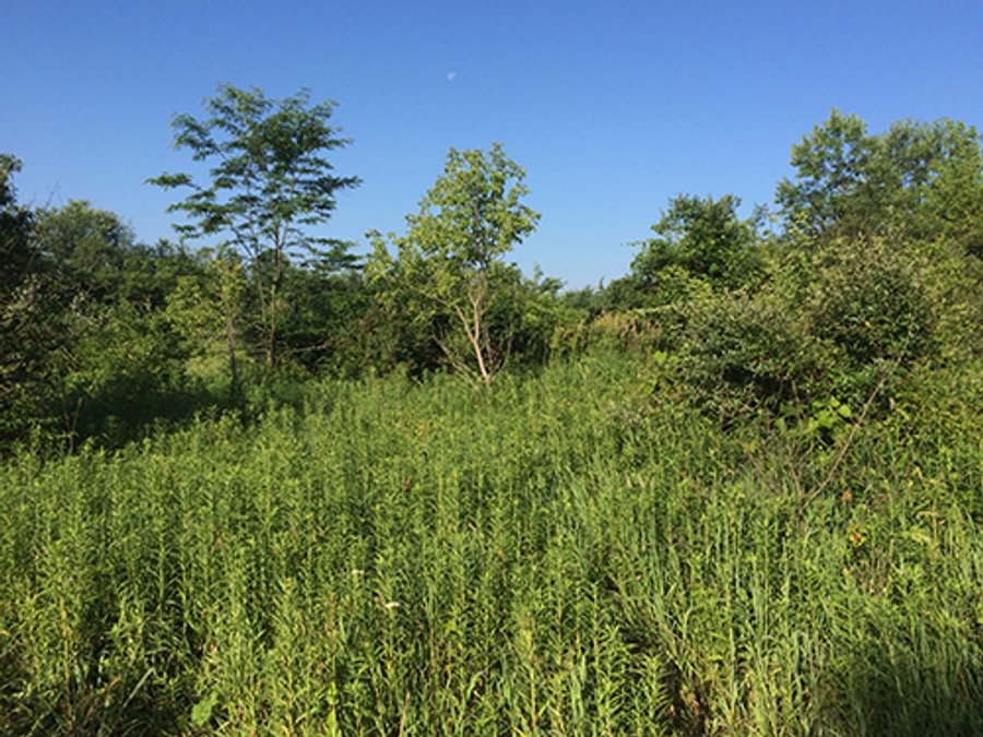 For sale: Hunter & Trapper's Paradise - LaPorte, IN