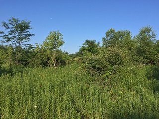 87.34 Acres adjacent to 7,280 acre Kingsbury Fish & Wildlife Area.  Abundant deer, wild turkey, quail, Prairie grasses.  Shelter belt and pond constructed by owners.

Fence along Grand Trunk Railroad boundary.

<b>High School:</b>  LaPorte High School
<b>Elec. Source:</b>  NIPSCO - Hunter & Trapper's Paradise