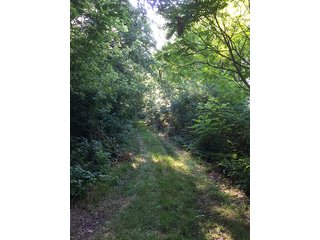 87.34 Acres adjacent to 7,280 acre Kingsbury Fish & Wildlife Area.  Abundant deer, wild turkey, quail, Prairie grasses.  Shelter belt and pond constructed by owners.

Fence along Grand Trunk Railroad boundary.

<b>High School:</b>  LaPorte High School
<b>Elec. Source:</b>  NIPSCO - Hunter & Trapper's Paradise