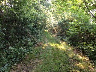 87.34 Acres adjacent to 7,280 acre Kingsbury Fish & Wildlife Area.  Abundant deer, wild turkey, quail, Prairie grasses.  Shelter belt and pond constructed by owners.

Fence along Grand Trunk Railroad boundary.

<b>High School:</b>  LaPorte High School
<b>Elec. Source:</b>  NIPSCO - Hunter & Trapper's Paradise