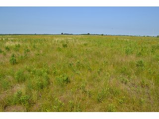 389.789+/- Acres with 364.98+/- acres tillable.  26.3 Acres in CRP.  $3,512 annual payment and contract expires 9/30/22. - 389.789+/- Acres Farmland