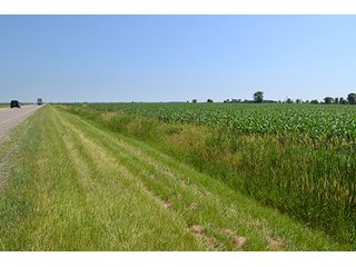 389.789+/- Acres with 364.98+/- acres tillable.  26.3 Acres in CRP.  $3,512 annual payment and contract expires 9/30/22. - 389.789+/- Acres Farmland