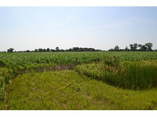 389.789+/- Acres with 364.98+/- acres tillable.  26.3 Acres in CRP.  $3,512 annual payment and contract expires 9/30/22. - 389.789+/- Acres Farmland