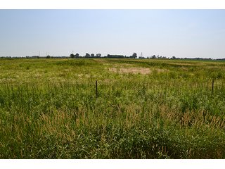 389.789+/- Acres with 364.98+/- acres tillable.  26.3 Acres in CRP.  $3,512 annual payment and contract expires 9/30/22. - 389.789+/- Acres Farmland
