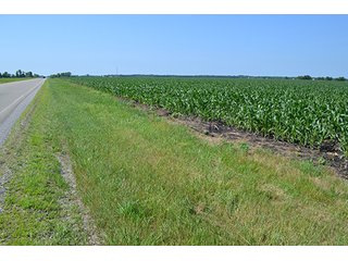 389.789+/- Acres with 364.98+/- acres tillable.  26.3 Acres in CRP.  $3,512 annual payment and contract expires 9/30/22. - 389.789+/- Acres Farmland