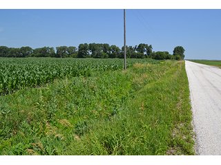 389.789+/- Acres with 364.98+/- acres tillable.  26.3 Acres in CRP.  $3,512 annual payment and contract expires 9/30/22. - 389.789+/- Acres Farmland