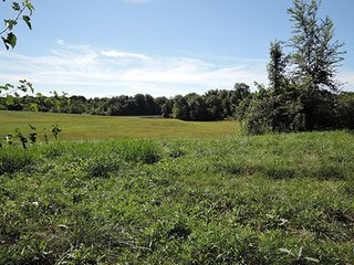 <b>Hunting, Boating, Family Recreation Opportunity</b>

<b>Features Include:</b>
* 22 Acres Woodland
* Aprox. 5 Acre Lake
* 50' Owned Lane along Hillsboro Road
* Frontage on 200N
* Adjoins Wilbur Wright Fish & Wildlife Area
* Information is estimated and not warranted - 27+/- Acres Recreational Land