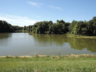 <b>Hunting, Boating, Family Recreation Opportunity</b>

<b>Features Include:</b>
* 22 Acres Woodland
* Aprox. 5 Acre Lake
* 50' Owned Lane along Hillsboro Road
* Frontage on 200N
* Adjoins Wilbur Wright Fish & Wildlife Area
* Information is estimated and not warranted - 27+/- Acres Recreational Land