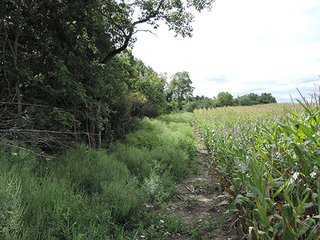 <b>Hunting, Boating, Family Recreation Opportunity</b>

<b>Features Include:</b>
* 22 Acres Woodland
* Aprox. 5 Acre Lake
* 50' Owned Lane along Hillsboro Road
* Frontage on 200N
* Adjoins Wilbur Wright Fish & Wildlife Area
* Information is estimated and not warranted - 27+/- Acres Recreational Land