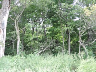 <b>Hunting, Boating, Family Recreation Opportunity</b>

<b>Features Include:</b>
* 22 Acres Woodland
* Aprox. 5 Acre Lake
* 50' Owned Lane along Hillsboro Road
* Frontage on 200N
* Adjoins Wilbur Wright Fish & Wildlife Area
* Information is estimated and not warranted - 27+/- Acres Recreational Land